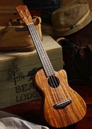 ukulele指弹基本功