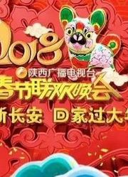 2018陕西广播电视台春节联欢晚会