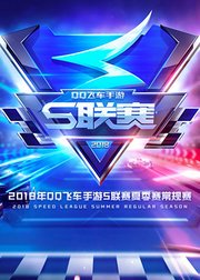 2018QQ飞车手游S联赛夏季赛