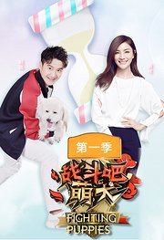 战斗吧萌犬