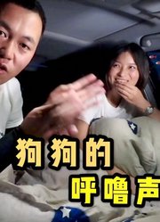 自驾游野外露营，和狗一起睡车里，晚上狗狗的打呼噜声太响了