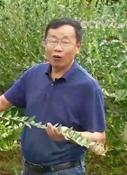 蓝莓梦八：他种植蓝莓有特点，让他的蓝莓全年都可以结果