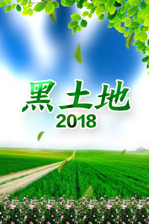 黑土地