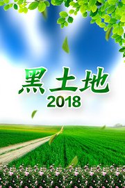 黑土地
