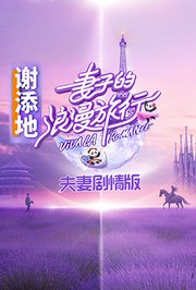 妻子的浪漫旅行夫妇剧情版