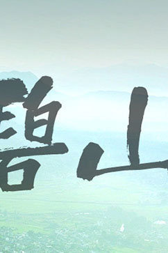 小城记事