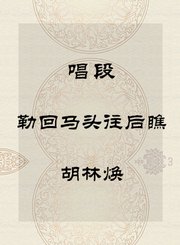 秦腔唱段-勒回马头往后瞧-胡林焕