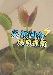 《逗比实验室》160527