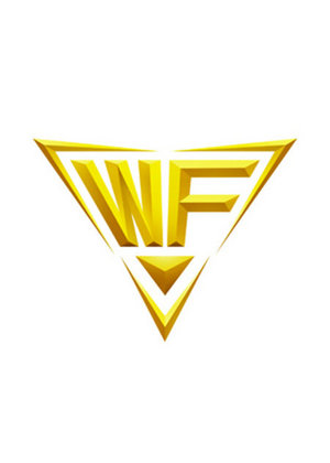 冠军杯WF战队