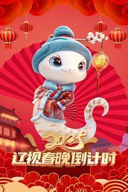 辽视春晚倒计时2025