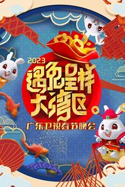 广东卫视春节晚会2023