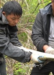 挑战荒野第4天2饿急了啥事儿都干得出来！偷盗行为导演怒了