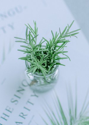 健康每一天小满