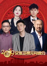 2019安徽卫视元宵晚会