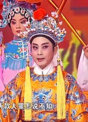 梨园春：马兰演唱《杨八姐游春》选段，圣上无耻抢亲，气坏佘太君