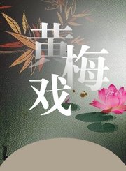 黄梅戏-女驸马