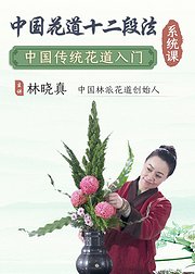 厦大客座老师轻松入门中国花道花艺