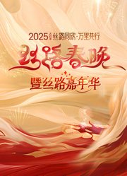 2025陕西丝路春晚