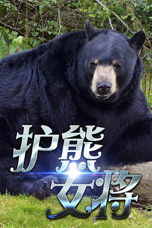 护熊女将