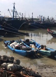 锵锵三人行之海门岛光影记录【中】——看不一样的风景，下网捕鱼，探寻红树林和红虾美殖场……