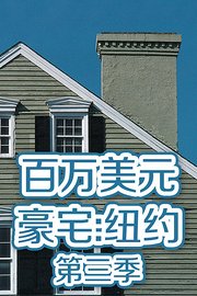 百万美元豪宅：纽约第3季