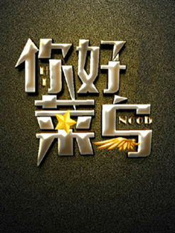 你好，菜鸟