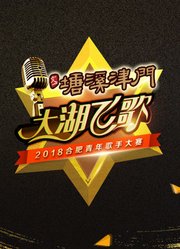 大湖飞歌2018合肥青年歌手大赛