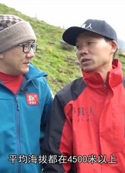 藏区牧民挖冬虫夏草，天没亮就要上山，实在太辛苦