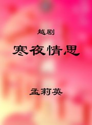 选段寒夜情思-孟莉英