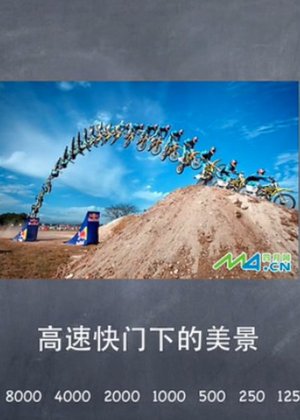 零基础摄影入门课