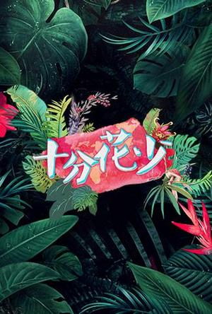 十分花少