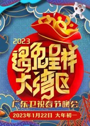 2023广东卫视春节晚会