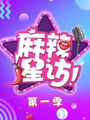 麻辣星访第1季