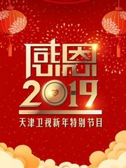 感恩2019