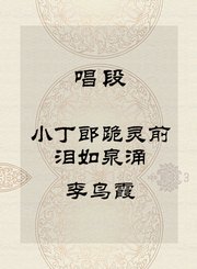 秦腔唱段-小丁郎跪灵前泪如泉涌-李鸟霞