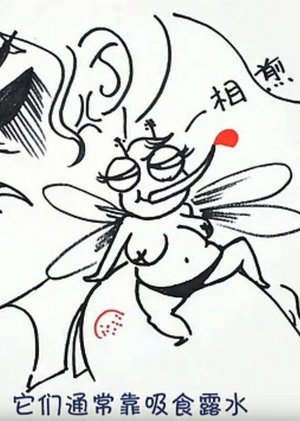 云南708-3