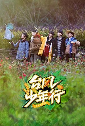 台风少年行
