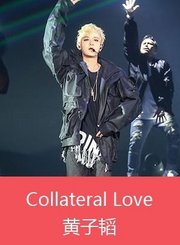 CollateralLove-黄子韬