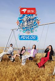 妻子的浪漫旅行6PDvlog