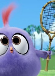 我们家小孩最近迷上了《愤怒的小鸟之蓝弟弟》训练小小鸟，搞的爸妈也想看了