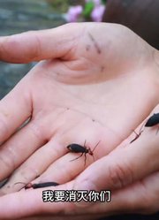 红尘陌上，独自行走，夏风拂过衣襟，