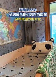 双胞胎兄弟，妈妈展示他们各自的房间，风格成强烈的对比