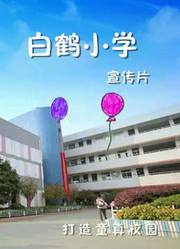 白鹤小学宣传片