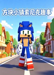 方块小镇索尼克趣事