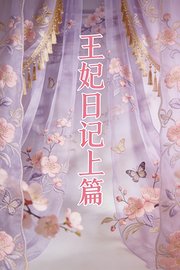 王妃日记上篇