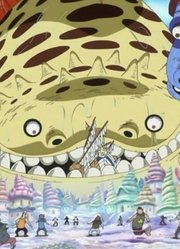 《海贼王》实力强劲的女性们，她战斗力为0，却有毁灭世界的力量