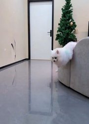 鲁米的欺骗！#kpop