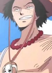 onepieceopbrandnewworld