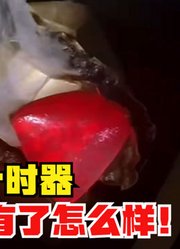 如果奥特曼，计时器被没有了，他们会怎么样？