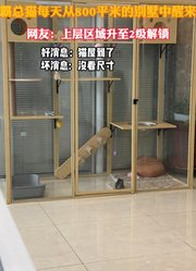 当买东西没有尺寸概念时，霸总猫每天从800平米的别墅中醒来！